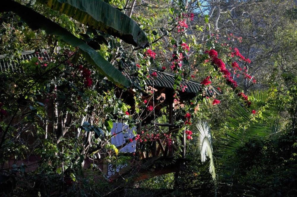 Mariri Jungle Lodge Alto Paraíso de Goiás Zewnętrze zdjęcie