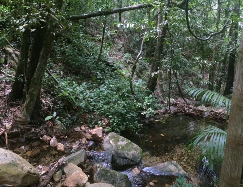 Mariri Jungle Lodge Alto Paraíso de Goiás Zewnętrze zdjęcie