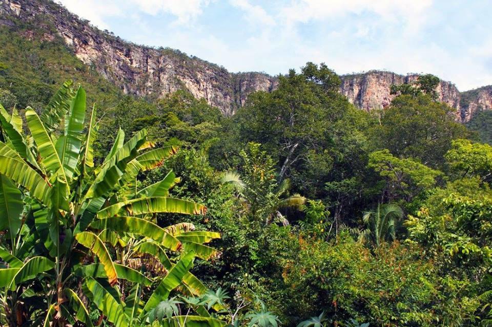 Mariri Jungle Lodge Alto Paraíso de Goiás Zewnętrze zdjęcie