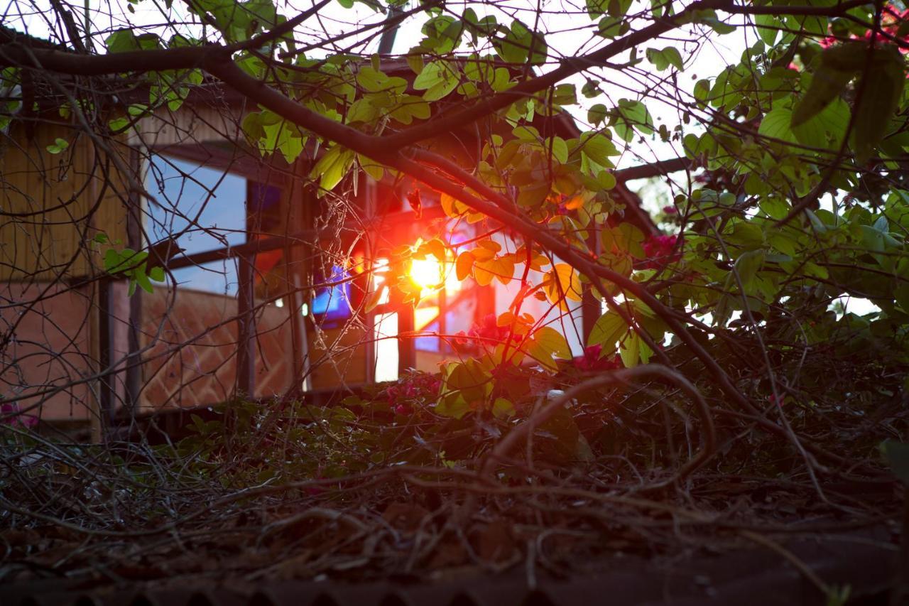 Mariri Jungle Lodge Alto Paraíso de Goiás Zewnętrze zdjęcie