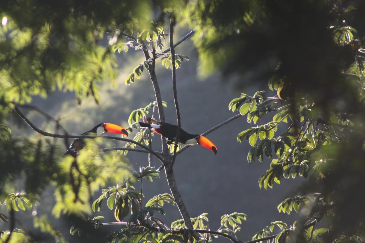 Mariri Jungle Lodge Alto Paraíso de Goiás Zewnętrze zdjęcie